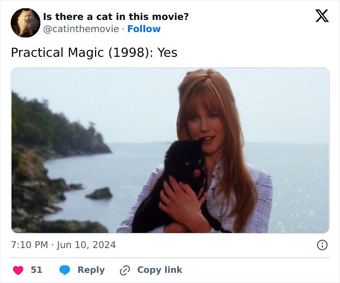 This X Page Tracks Every Cat In Cinema, Here Are 83 You Probably Didn&rsquo;t Notice