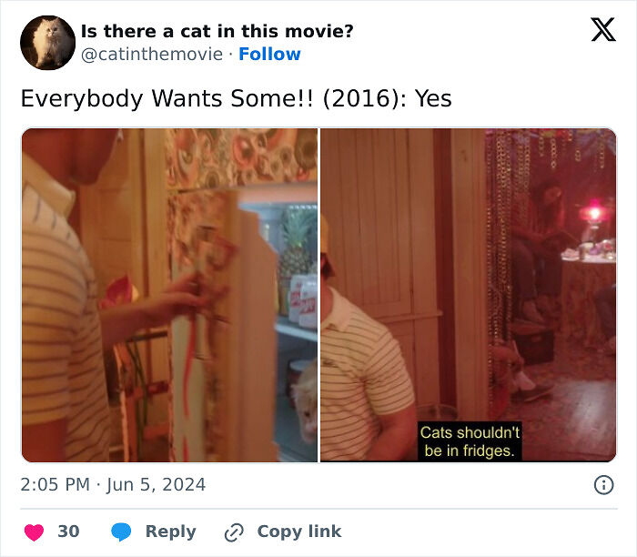 This X Page Tracks Every Cat In Cinema, Here Are 83 You Probably Didn&rsquo;t Notice