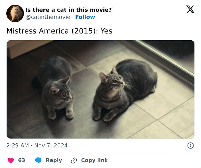 This X Page Tracks Every Cat In Cinema, Here Are 83 You Probably Didn&rsquo;t Notice