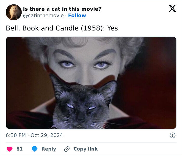 This X Page Tracks Every Cat In Cinema, Here Are 83 You Probably Didn&rsquo;t Notice