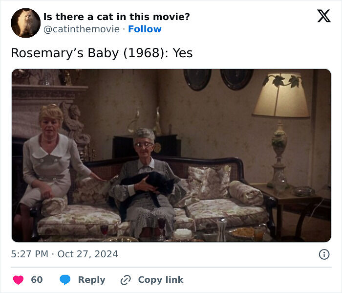 This X Page Tracks Every Cat In Cinema, Here Are 83 You Probably Didn&rsquo;t Notice