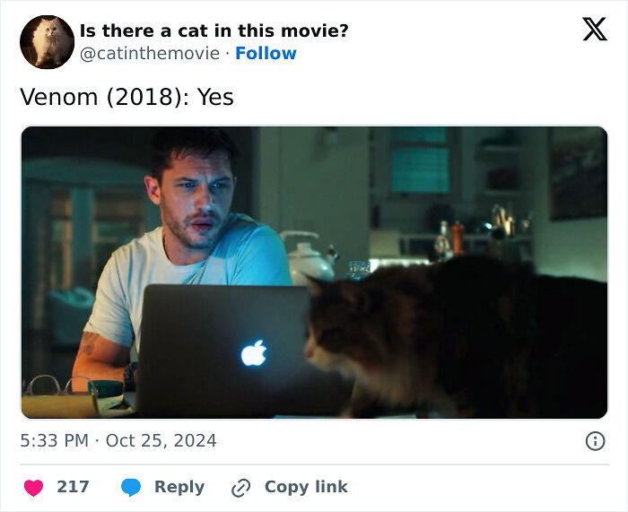 This X Page Tracks Every Cat In Cinema, Here Are 83 You Probably Didn&rsquo;t Notice