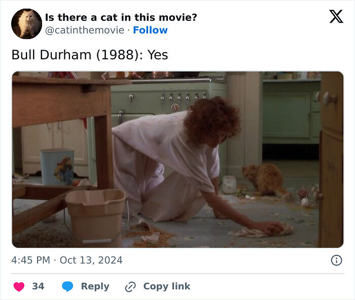 This X Page Tracks Every Cat In Cinema, Here Are 83 You Probably Didn&rsquo;t Notice