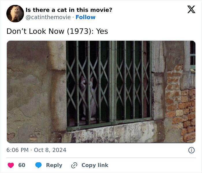 This X Page Tracks Every Cat In Cinema, Here Are 83 You Probably Didn&rsquo;t Notice