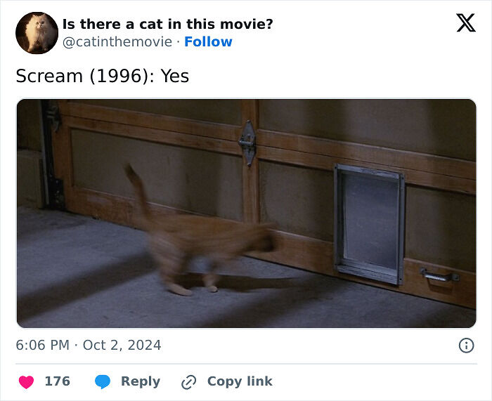 This X Page Tracks Every Cat In Cinema, Here Are 83 You Probably Didn&rsquo;t Notice