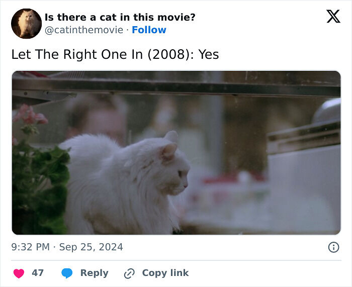 This X Page Tracks Every Cat In Cinema, Here Are 83 You Probably Didn&rsquo;t Notice