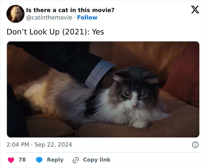 This X Page Tracks Every Cat In Cinema, Here Are 83 You Probably Didn&rsquo;t Notice