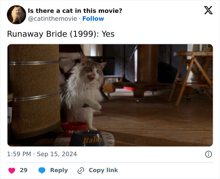 This X Page Tracks Every Cat In Cinema, Here Are 83 You Probably Didn&rsquo;t Notice