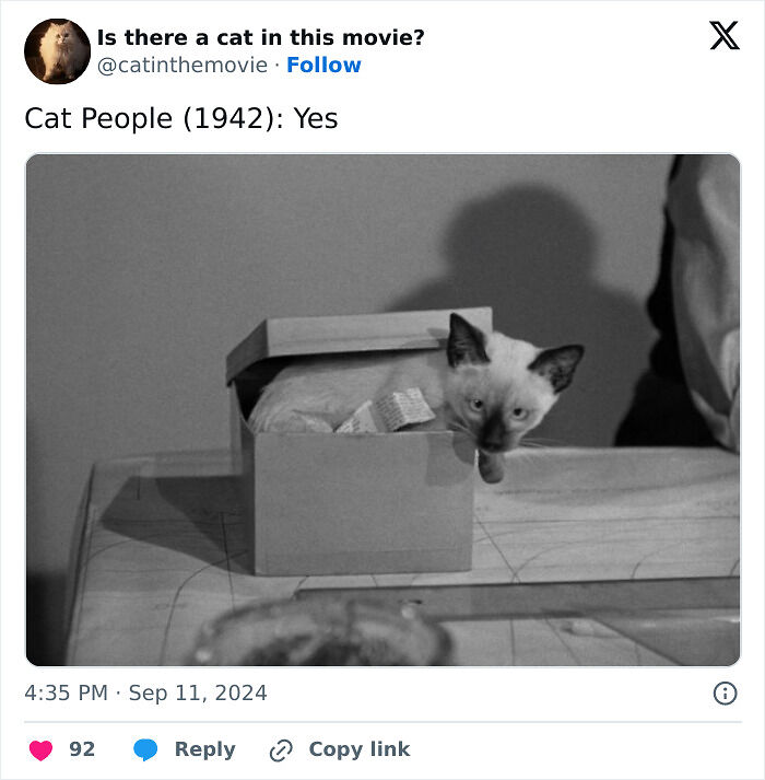 This X Page Tracks Every Cat In Cinema, Here Are 83 You Probably Didn&rsquo;t Notice
