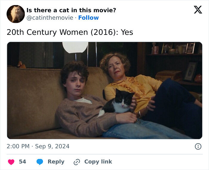 This X Page Tracks Every Cat In Cinema, Here Are 83 You Probably Didn&rsquo;t Notice