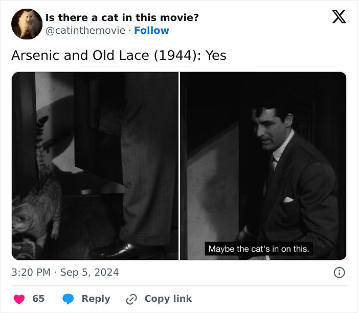This X Page Tracks Every Cat In Cinema, Here Are 83 You Probably Didn&rsquo;t Notice