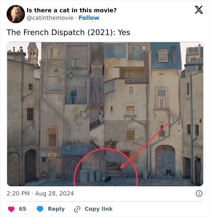 This X Page Tracks Every Cat In Cinema, Here Are 83 You Probably Didn&rsquo;t Notice