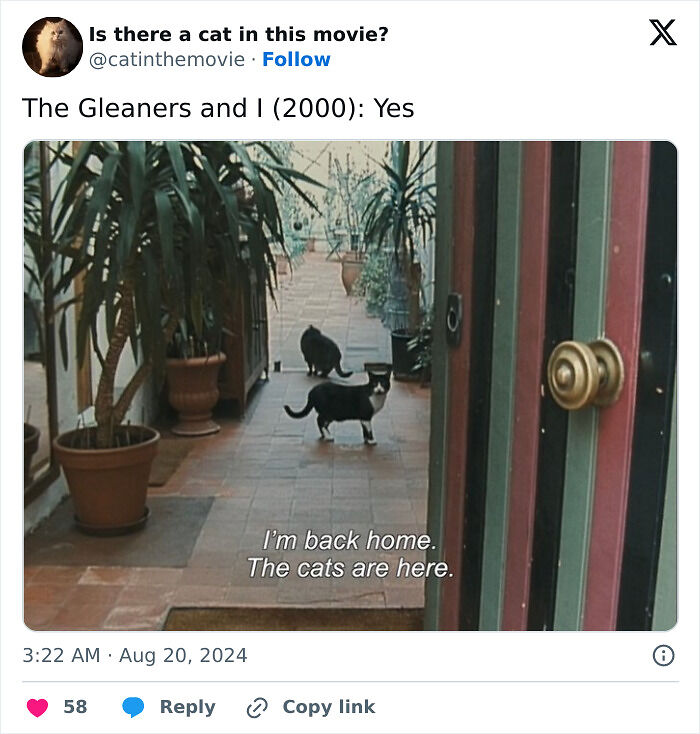 This X Page Tracks Every Cat In Cinema, Here Are 83 You Probably Didn&rsquo;t Notice