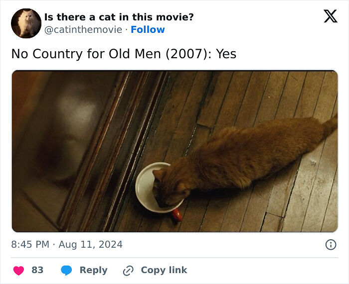 This X Page Tracks Every Cat In Cinema, Here Are 83 You Probably Didn&rsquo;t Notice