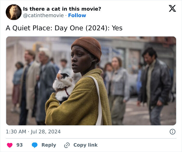This X Page Tracks Every Cat In Cinema, Here Are 83 You Probably Didn&rsquo;t Notice