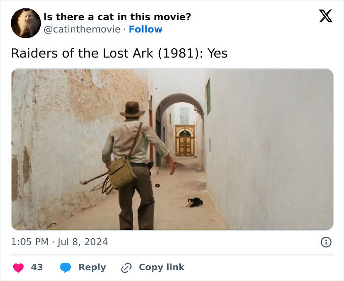 This X Page Tracks Every Cat In Cinema, Here Are 83 You Probably Didn&rsquo;t Notice