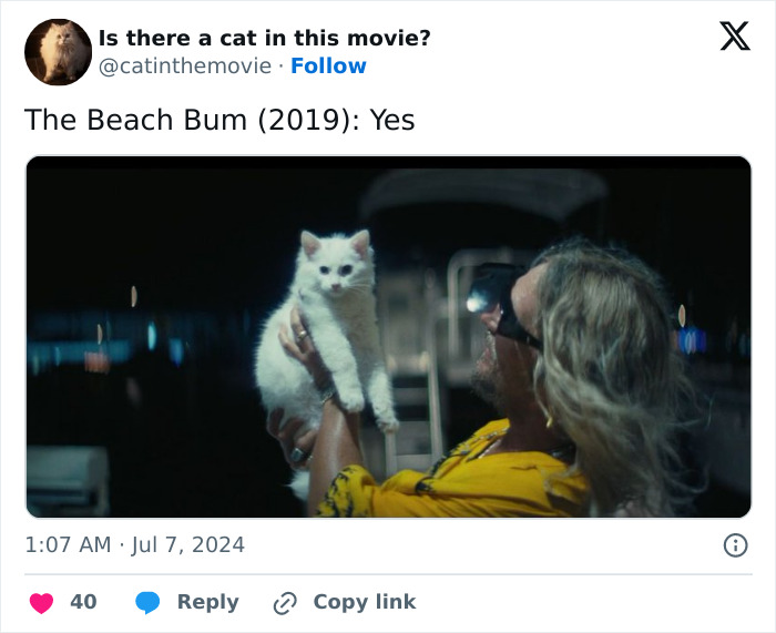 This X Page Tracks Every Cat In Cinema, Here Are 83 You Probably Didn&rsquo;t Notice