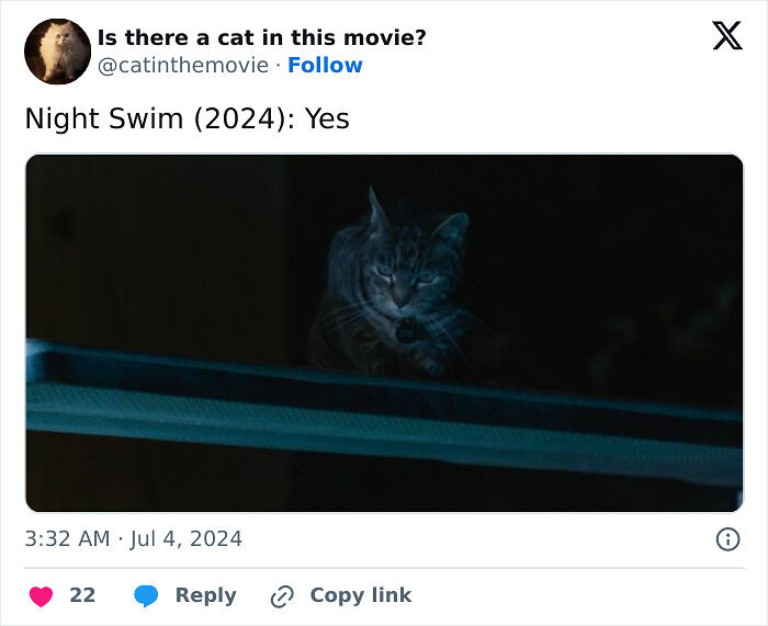 This X Page Tracks Every Cat In Cinema, Here Are 83 You Probably Didn&rsquo;t Notice