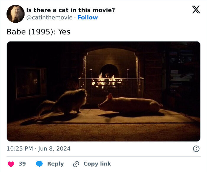 This X Page Tracks Every Cat In Cinema, Here Are 83 You Probably Didn&rsquo;t Notice