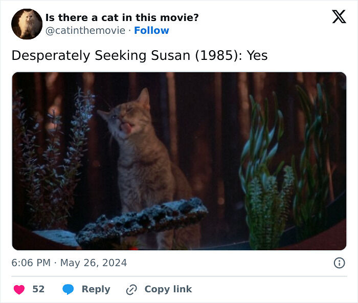 This X Page Tracks Every Cat In Cinema, Here Are 83 You Probably Didn&rsquo;t Notice