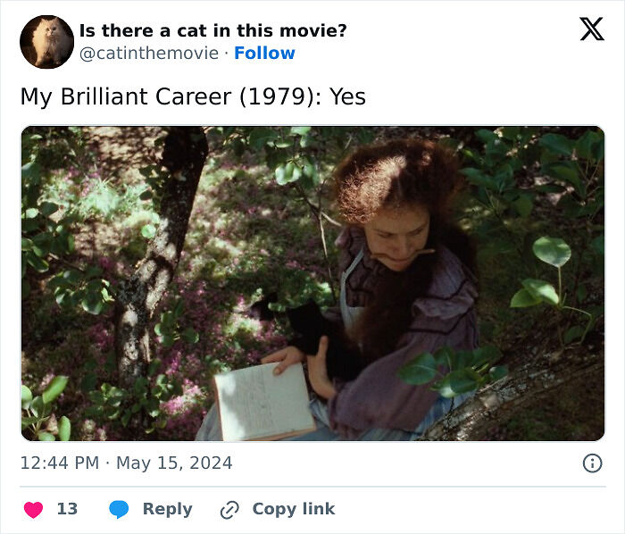This X Page Tracks Every Cat In Cinema, Here Are 83 You Probably Didn&rsquo;t Notice