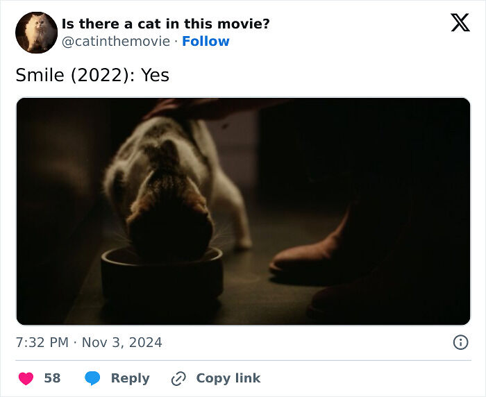 This X Page Tracks Every Cat In Cinema, Here Are 83 You Probably Didn&rsquo;t Notice