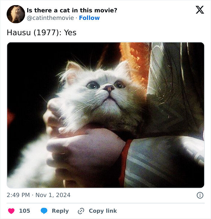 This X Page Tracks Every Cat In Cinema, Here Are 83 You Probably Didn&rsquo;t Notice