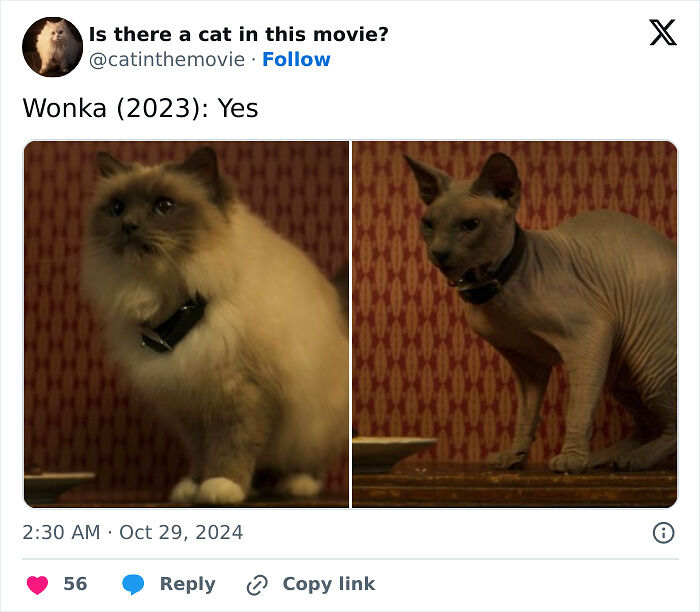 This X Page Tracks Every Cat In Cinema, Here Are 83 You Probably Didn&rsquo;t Notice