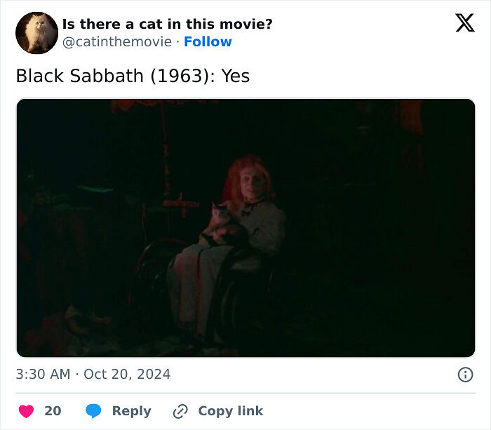 This X Page Tracks Every Cat In Cinema, Here Are 83 You Probably Didn&rsquo;t Notice