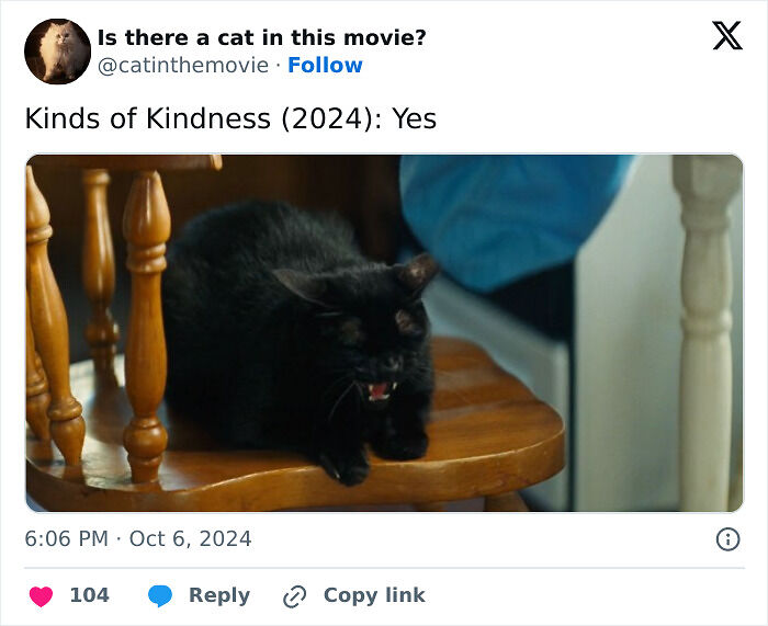 This X Page Tracks Every Cat In Cinema, Here Are 83 You Probably Didn&rsquo;t Notice