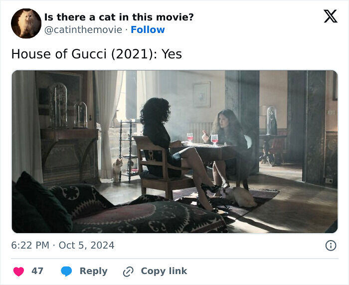 This X Page Tracks Every Cat In Cinema, Here Are 83 You Probably Didn&rsquo;t Notice