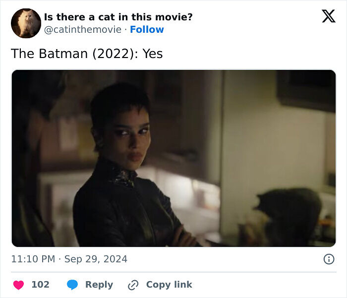 This X Page Tracks Every Cat In Cinema, Here Are 83 You Probably Didn&rsquo;t Notice