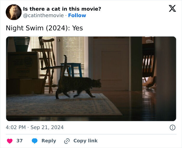 This X Page Tracks Every Cat In Cinema, Here Are 83 You Probably Didn&rsquo;t Notice