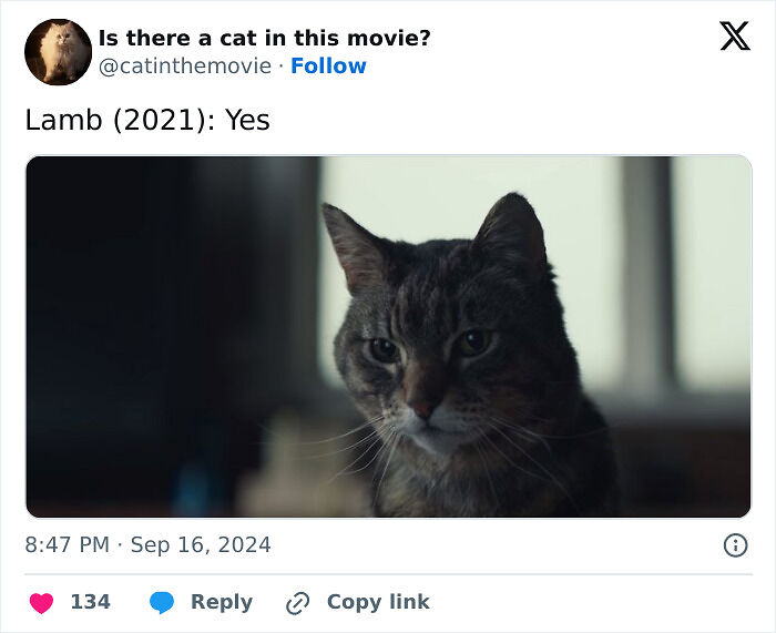 This X Page Tracks Every Cat In Cinema, Here Are 83 You Probably Didn&rsquo;t Notice
