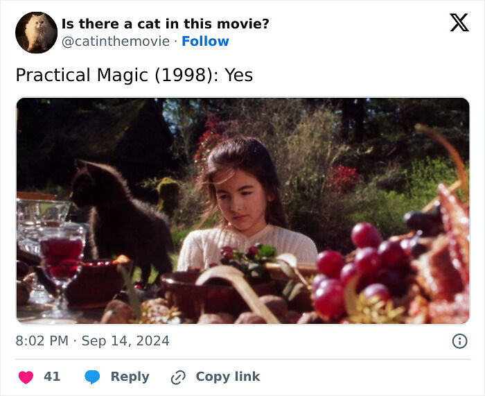 This X Page Tracks Every Cat In Cinema, Here Are 83 You Probably Didn&rsquo;t Notice