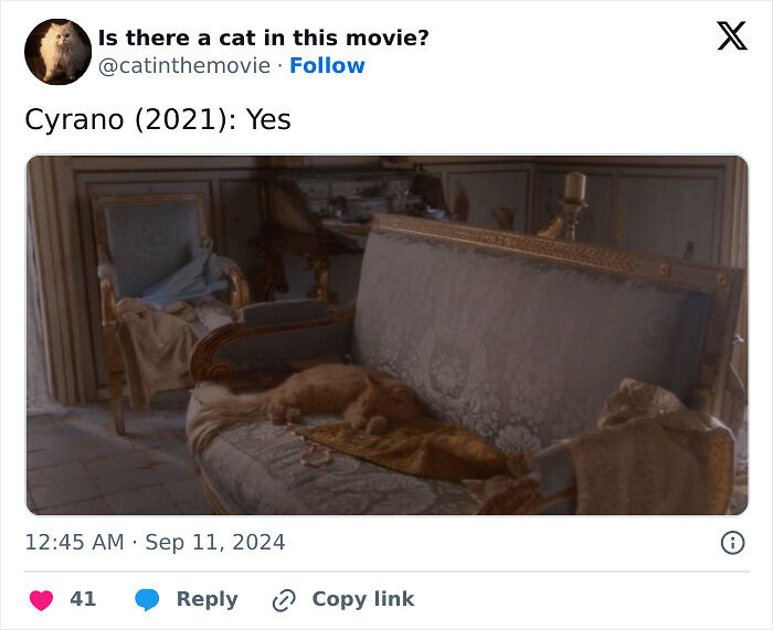 This X Page Tracks Every Cat In Cinema, Here Are 83 You Probably Didn&rsquo;t Notice