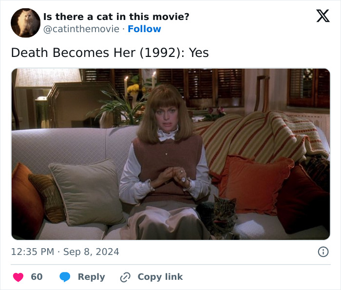 This X Page Tracks Every Cat In Cinema, Here Are 83 You Probably Didn&rsquo;t Notice