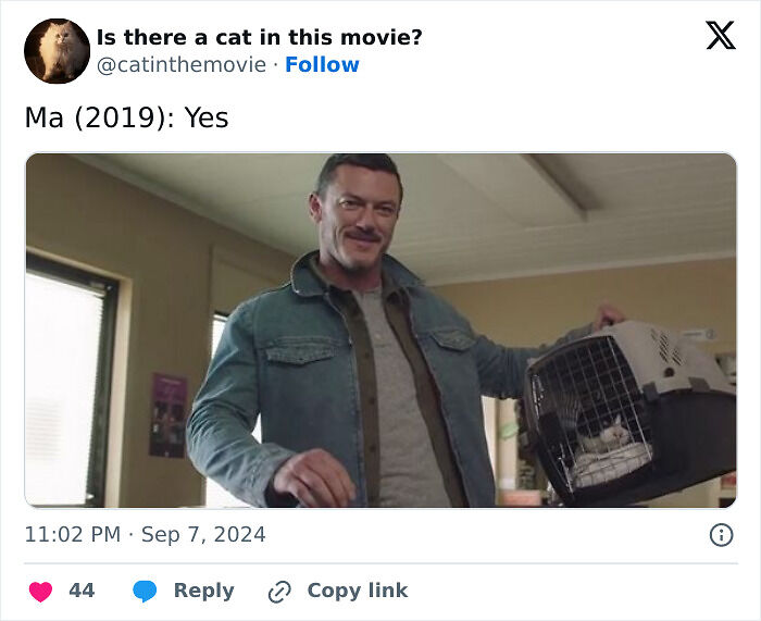 This X Page Tracks Every Cat In Cinema, Here Are 83 You Probably Didn&rsquo;t Notice