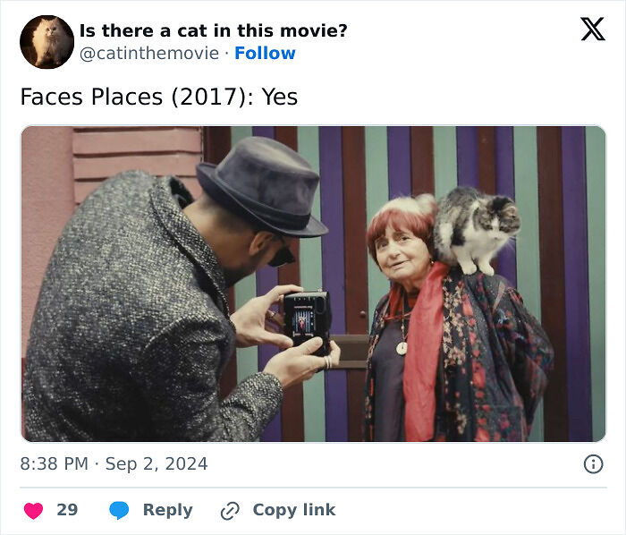 This X Page Tracks Every Cat In Cinema, Here Are 83 You Probably Didn&rsquo;t Notice