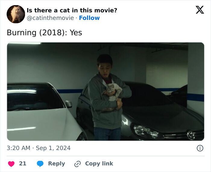This X Page Tracks Every Cat In Cinema, Here Are 83 You Probably Didn&rsquo;t Notice
