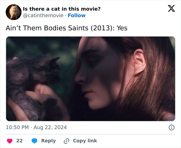 This X Page Tracks Every Cat In Cinema, Here Are 83 You Probably Didn&rsquo;t Notice