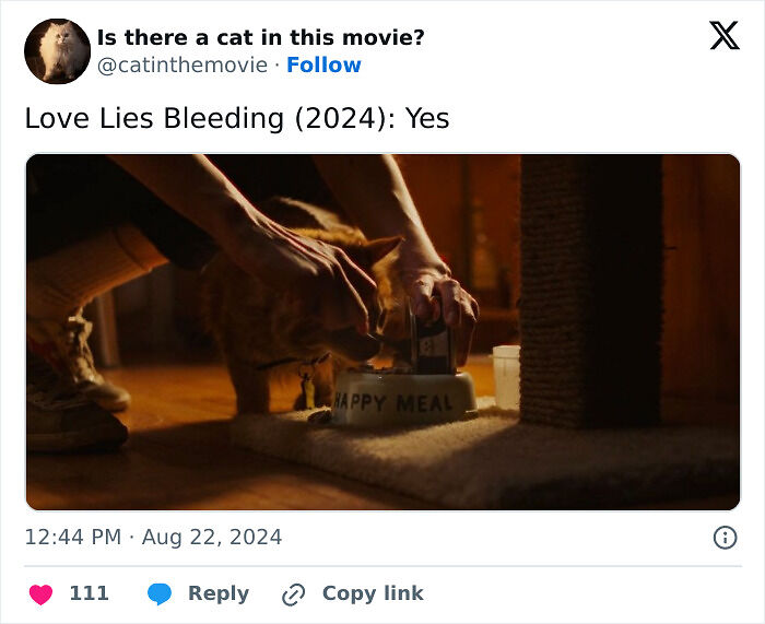 This X Page Tracks Every Cat In Cinema, Here Are 83 You Probably Didn&rsquo;t Notice