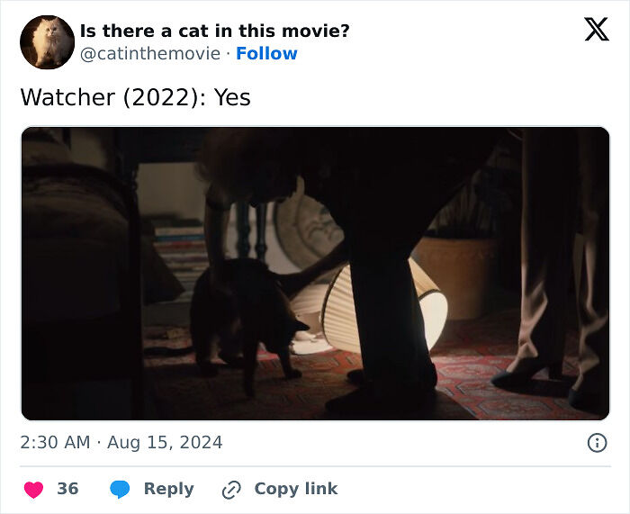 This X Page Tracks Every Cat In Cinema, Here Are 83 You Probably Didn&rsquo;t Notice