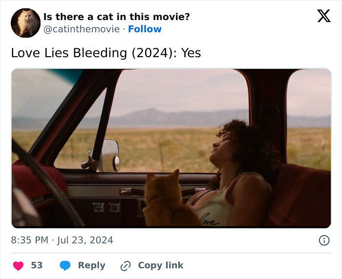 This X Page Tracks Every Cat In Cinema, Here Are 83 You Probably Didn&rsquo;t Notice