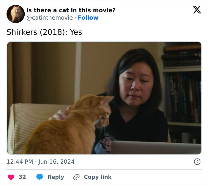 This X Page Tracks Every Cat In Cinema, Here Are 83 You Probably Didn&rsquo;t Notice