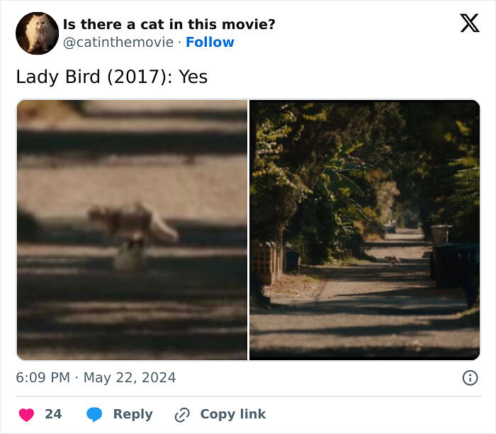 This X Page Tracks Every Cat In Cinema, Here Are 83 You Probably Didn&rsquo;t Notice