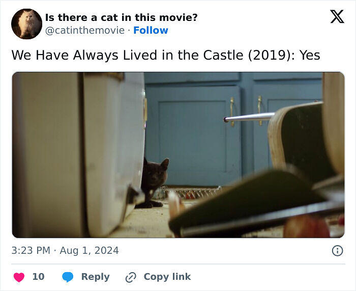 This X Page Tracks Every Cat In Cinema, Here Are 83 You Probably Didn&rsquo;t Notice