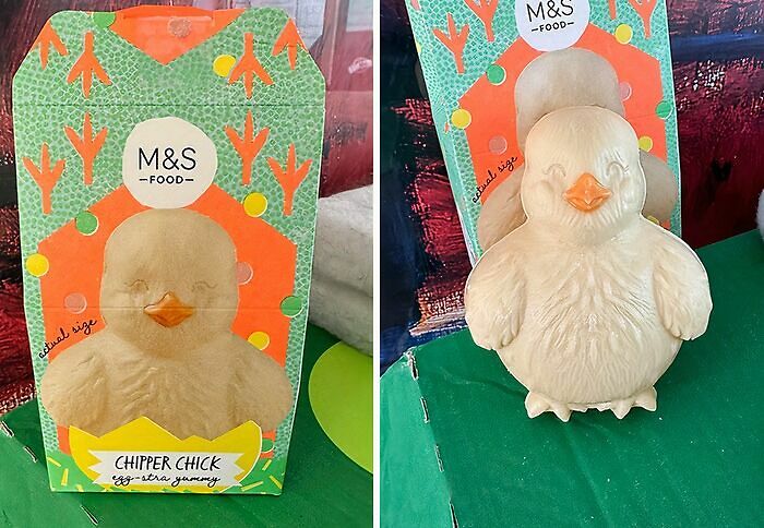 64 &lsquo;Expectation Vs. Reality&rsquo; Food Fails And Successes That Prove You Never Know What You&rsquo;ll Get (New Pics)