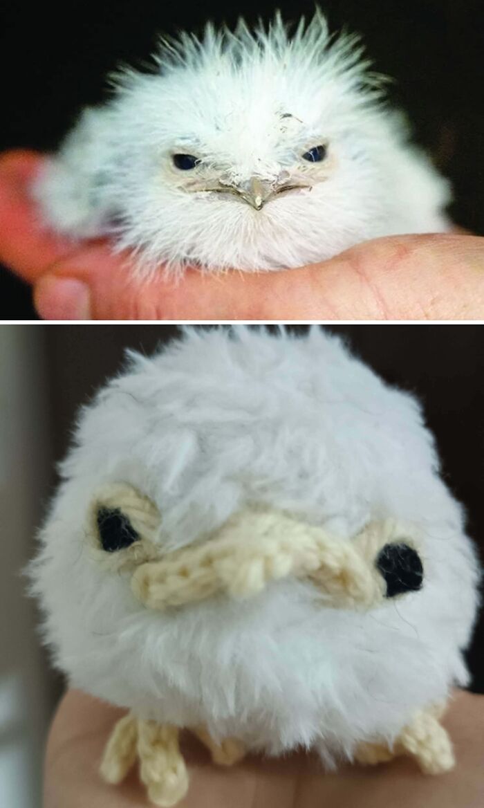 &ldquo;Took Around 110 Hours&rdquo;: 83 Times People Crocheted Something Awesome And Wowed The Internet (New Pics)