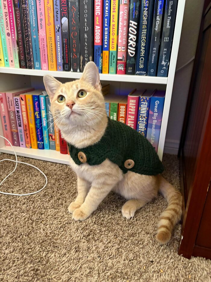 &ldquo;Took Around 110 Hours&rdquo;: 83 Times People Crocheted Something Awesome And Wowed The Internet (New Pics)